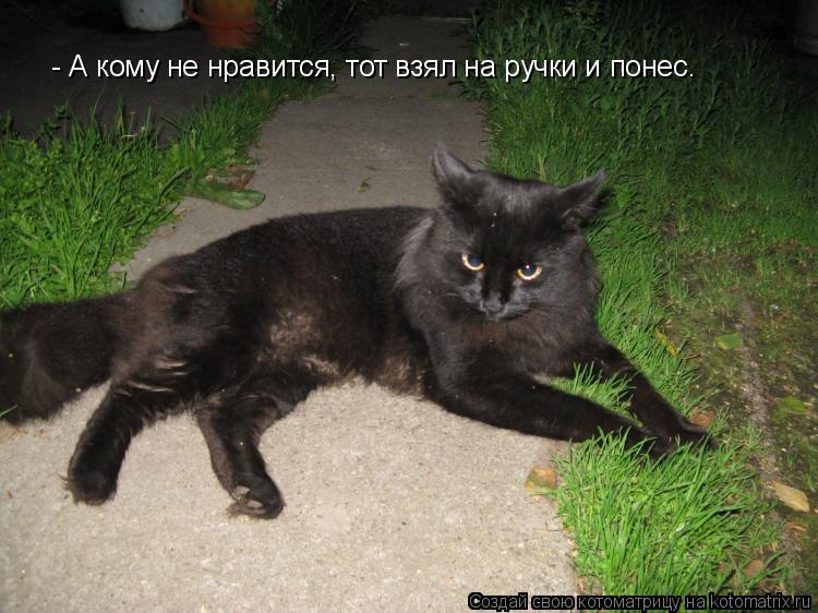 - А кому не нравится, тот взял на ручки и понес.... Котоматрица: - А кому не нравится, тот взял на ручки и понес.