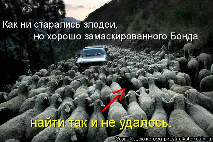 Как ни старались злодеи, но хорошо замаскированного Бонда найти так и не удалось. | >... Котоматрица: Как ни старались злодеи, но хорошо замаскированного Бонда найти так и не удалось. | >