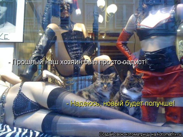 - Прошлый наш хозяин был просто садист! - Надеюсь, новый будет получше!... Котоматрица: - Прошлый наш хозяин был просто садист! - Надеюсь, новый будет получше!