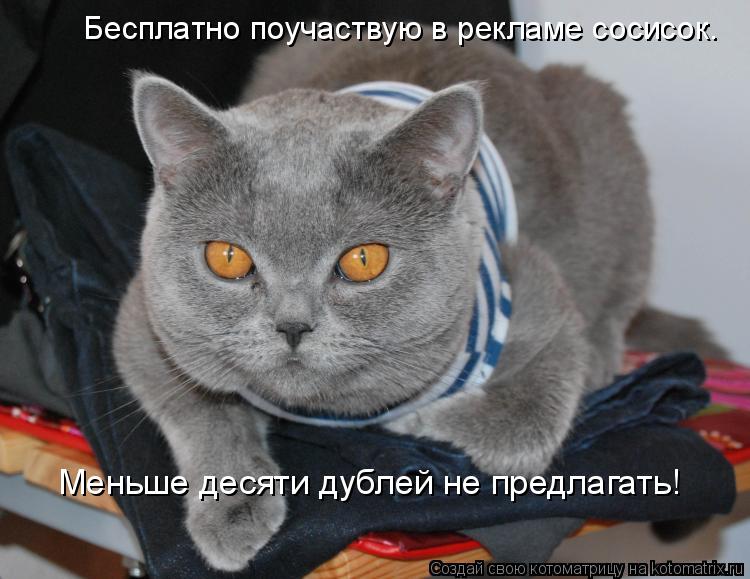 Бесплатно поучаствую в рекламе сосисок. Меньше десяти дублей не предлагать!... Котоматрица: Бесплатно поучаствую в рекламе сосисок. Меньше десяти дублей не предлагать!