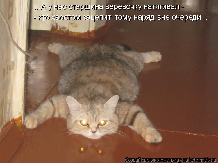 ...А у нас старшина веревочку натягивал - - кто хвостом зацепит, тому наряд вне очереди...... Котоматрица: ...А у нас старшина веревочку натягивал - - кто хвостом зацепит, тому наряд вне очереди...