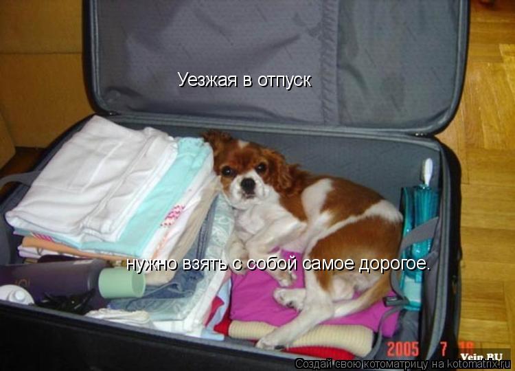 Уезжая в отпуск нужно взять с собой самое дорогое.... Котоматрица: Уезжая в отпуск нужно взять с собой самое дорогое.