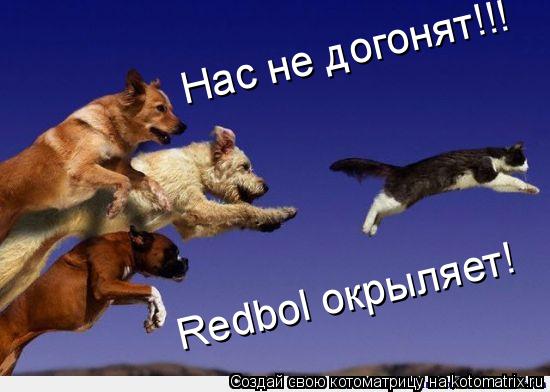Нас не догонят!!! Redbol окрыляет!... Котоматрица: Нас не догонят!!! Redbol окрыляет!