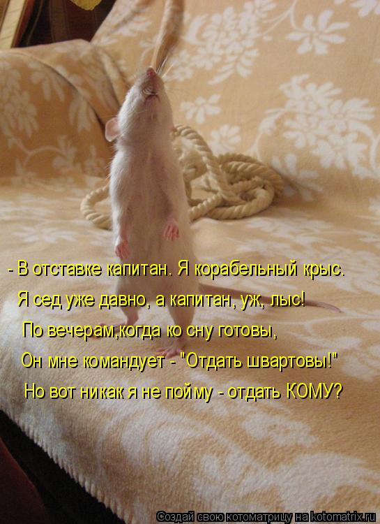 - В отставке капитан. Я корабельный крыс. Я сед уже давно, а капитан, уж, лыс! По вечерам,когда ко сн... Котоматрица: - В отставке капитан. Я корабельный крыс. Я сед уже давно, а капитан, уж, лыс! По вечерам,когда ко сну готовы, Он мне командует - "Отдать швартов