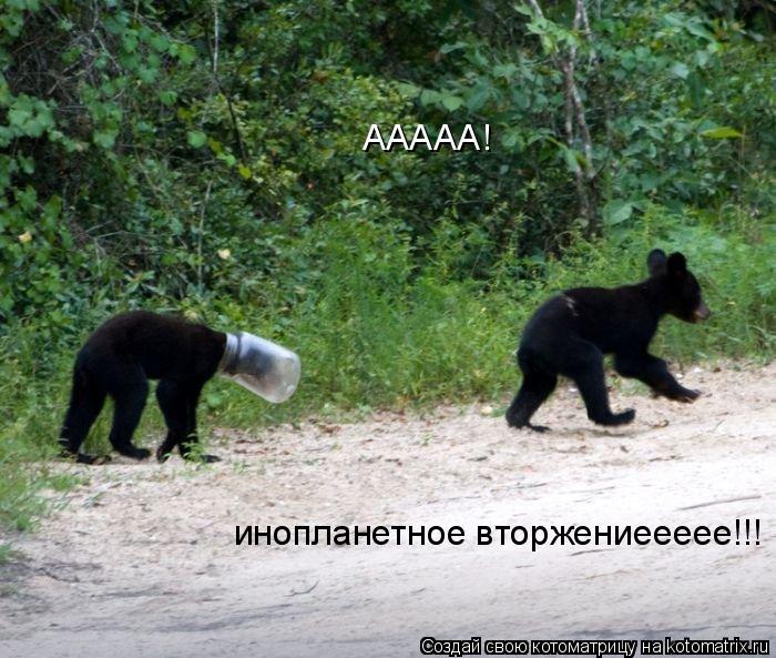 ААААА! инопланетное вторжениеееее!!!... Котоматрица: ААААА! инопланетное вторжениеееее!!!