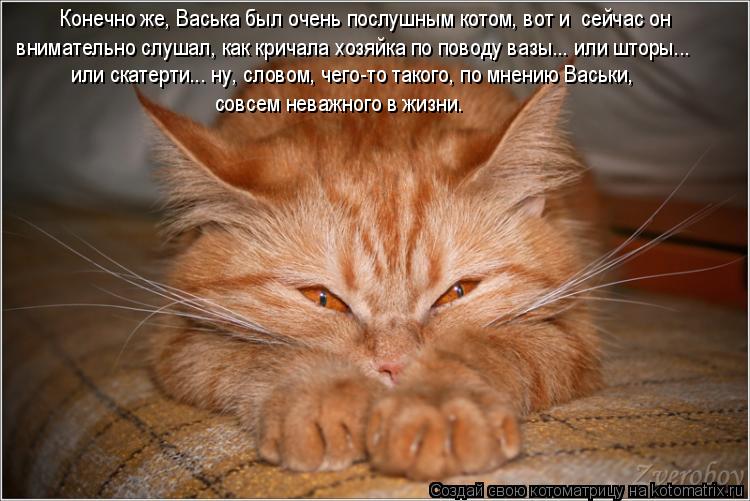 Конечно же, Васька был очень послушным котом, вот и сейчас он внимательно слушал, как кричала хозяй... Котоматрица: Конечно же, Васька был очень послушным котом, вот и сейчас он внимательно слушал, как кричала хозяйка по поводу вазы... или шторы... или скат