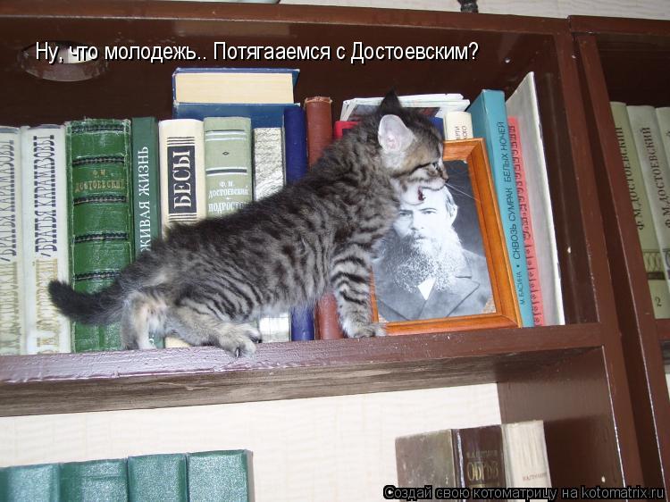 Ну, что молодежь.. Потягааемся с Достоевским?... Котоматрица: Ну, что молодежь.. Потягааемся с Достоевским?