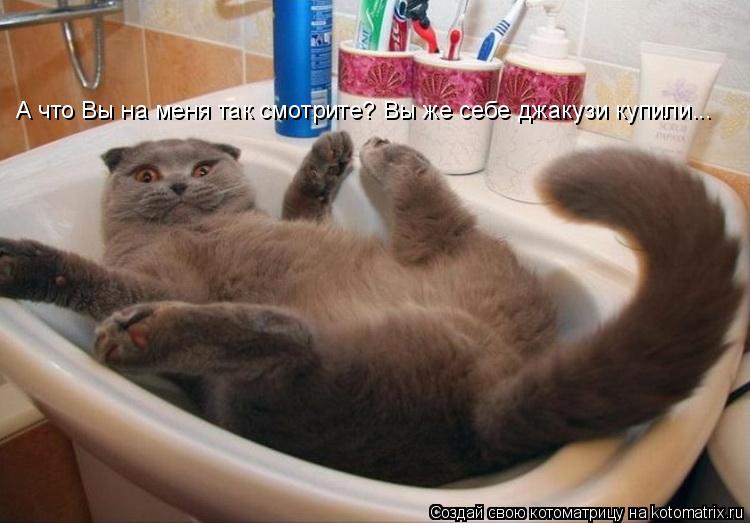 А что Вы на меня так смотрите? Вы же себе джакузи купили...... Котоматрица: А что Вы на меня так смотрите? Вы же себе джакузи купили...