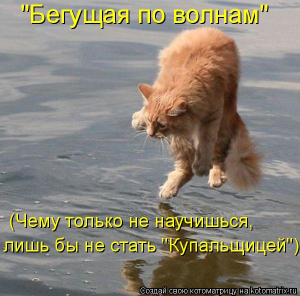"Бегущая по волнам" (Чему только не научишься, лишь бы не стать "Купальщицей")... Котоматрица: "Бегущая по волнам" (Чему только не научишься, лишь бы не стать "Купальщицей")
