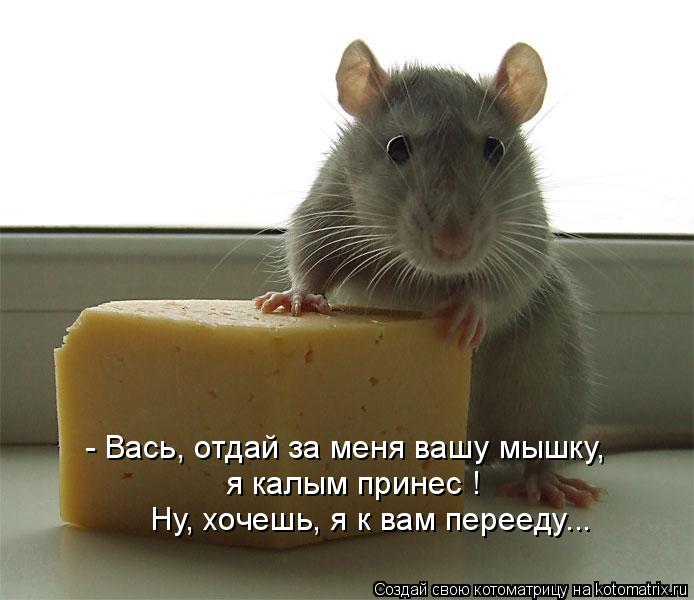 - Вась, отдай за меня вашу мышку, я калым принес ! Ну, хочешь, я к вам перееду...... Котоматрица: - Вась, отдай за меня вашу мышку, я калым принес ! Ну, хочешь, я к вам перееду...