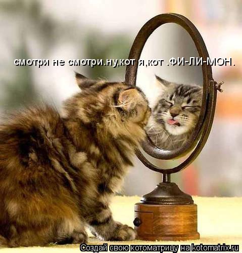 смотри не смотри.ну,кот я,кот .ФИ-ЛИ-МОН.... Котоматрица: смотри не смотри.ну,кот я,кот .ФИ-ЛИ-МОН.