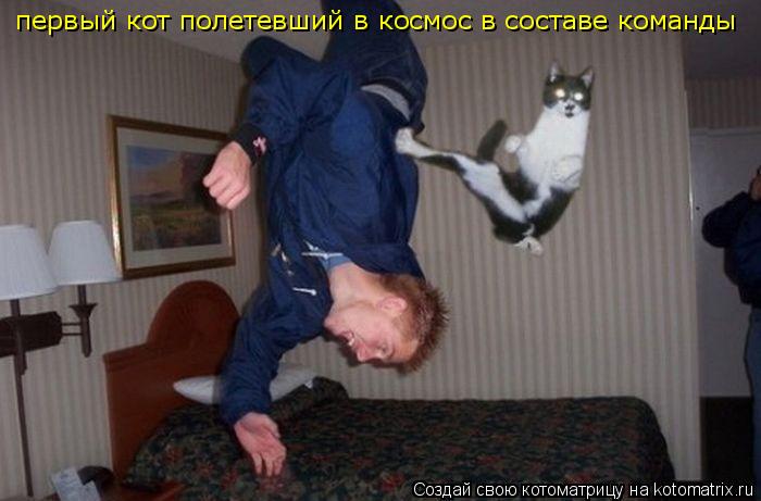 первый кот полетевший в космос в составе команды... Котоматрица: первый кот полетевший в космос в составе команды