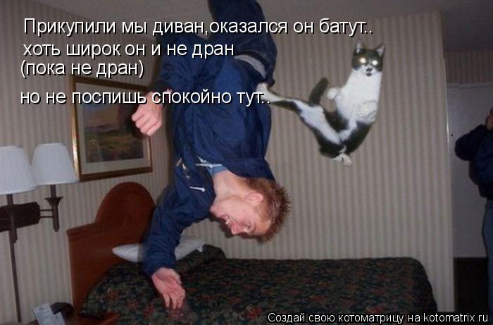 Прикупили мы диван,оказался он батут.. хоть широк он и не дран но не поспишь спокойно тут.. (пока не ... Котоматрица: Прикупили мы диван,оказался он батут.. хоть широк он и не дран но не поспишь спокойно тут.. (пока не дран)