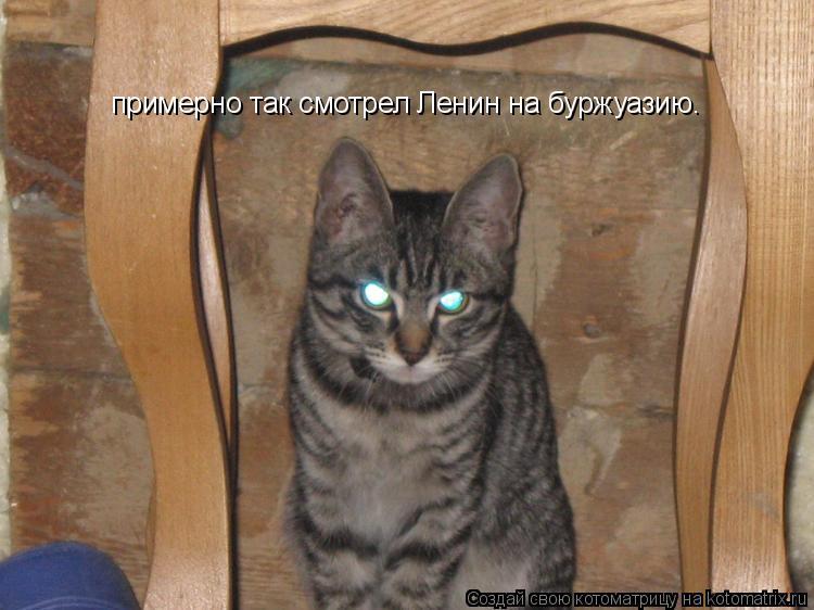 примерно так смотрел Ленин на буржуазию.... Котоматрица: примерно так смотрел Ленин на буржуазию.