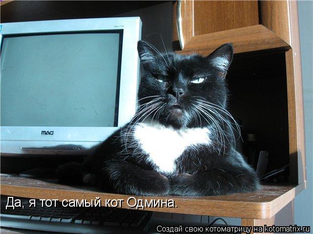 Да, я тот самый кот Одмина.... Котоматрица: Да, я тот самый кот Одмина.