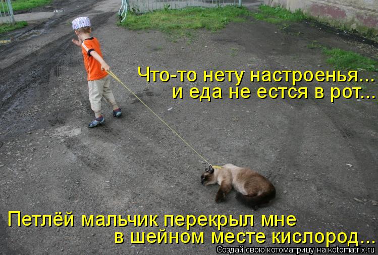 Что-то нету настроенья... и еда не естся в рот... Петлёй мальчик перекрыл мне в шейном месте кислород... Котоматрица: Что-то нету настроенья... и еда не естся в рот... Петлёй мальчик перекрыл мне в шейном месте кислород...