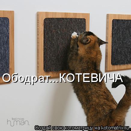 Котоматрица: Ободрат...КОТЕВИЧА