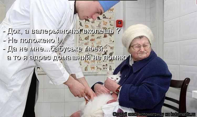- Док, а валерьяночки вколешь ? - Не положено ! - Да не мне...бабуське моей, а то я адрес домашний не... Котоматрица: - Док, а валерьяночки вколешь ? - Не положено ! - Да не мне...бабуське моей, а то я адрес домашний не помню !