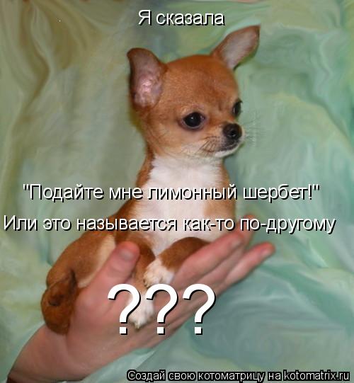 Я сказала "Подайте мне лимонный шербет!" Или это называется как-то по-другому ???... Котоматрица: Я сказала "Подайте мне лимонный шербет!" Или это называется как-то по-другому ???