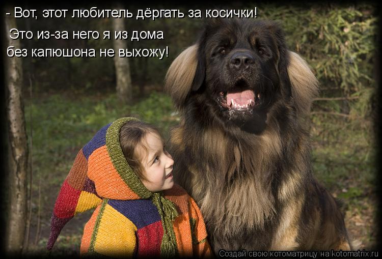 - Вот, этот любитель дёргать за косички! Это из-за него я из дома без капюшона не выхожу!... Котоматрица: - Вот, этот любитель дёргать за косички! Это из-за него я из дома без капюшона не выхожу!