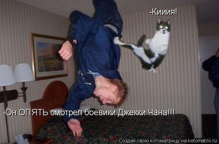 -Кииия! -Он ОПЯТЬ смотрел боевики Джекки Чана!!!... Котоматрица: -Кииия! -Он ОПЯТЬ смотрел боевики Джекки Чана!!!