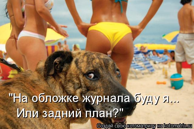 "На обложке журнала буду я... Или задний план?"... Котоматрица: "На обложке журнала буду я... Или задний план?"