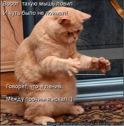 Вооот такую мышь ловил И чуть было не поймал! Говорят, что я ленив. Между прочим-я искал.:) ________... Котоматрица: Вооот такую мышь ловил И чуть было не поймал! Говорят, что я ленив. Между прочим-я искал.:) _________