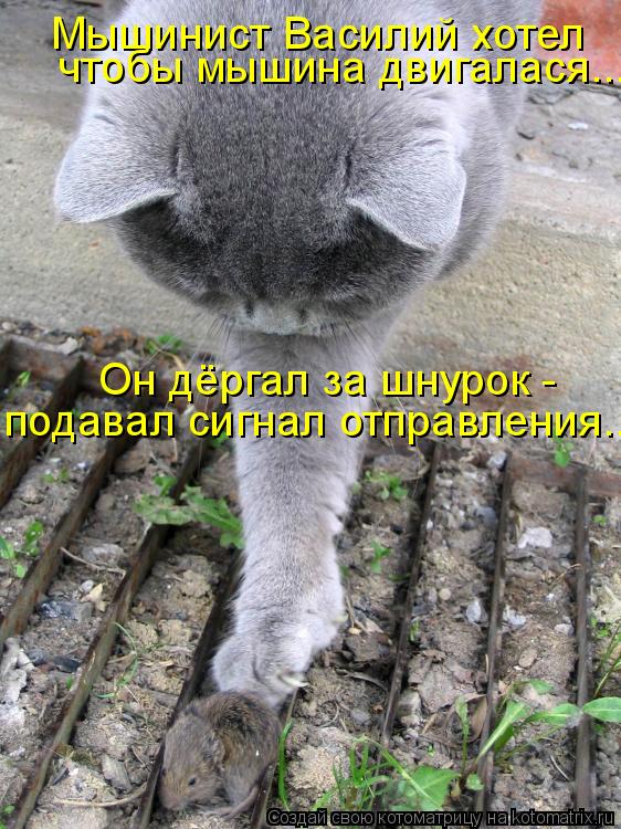 Мышинист Василий хотел чтобы мышина двигалася... Он дёргал за шнурок - подавал сигнал отправления...... Котоматрица: Мышинист Василий хотел чтобы мышина двигалася... Он дёргал за шнурок - подавал сигнал отправления...