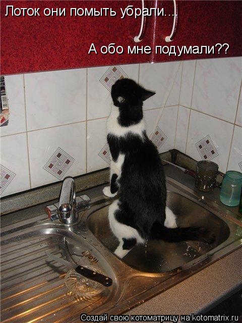 Лоток они помыть убрали.... А обо мне подумали??... Котоматрица: Лоток они помыть убрали.... А обо мне подумали??