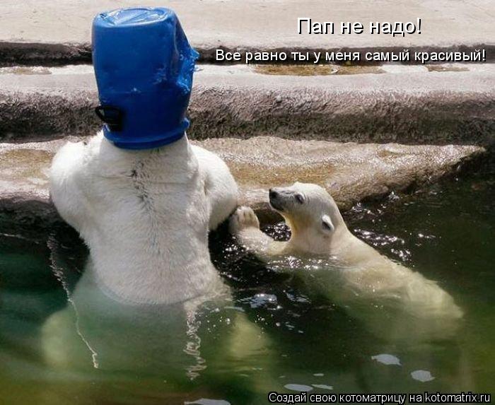 Пап не надо! Все равно ты у меня самый красивый!... Котоматрица: Пап не надо! Все равно ты у меня самый красивый!