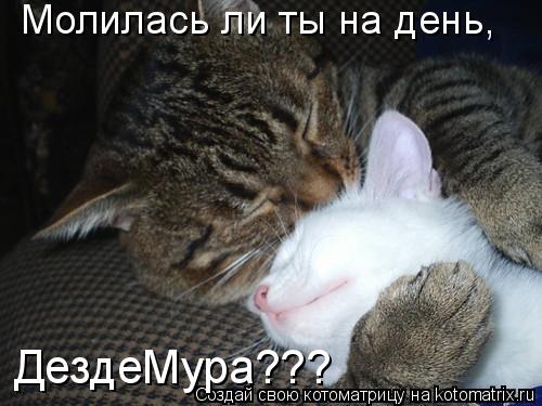 Молилась ли ты на день, ДездеМура???... Котоматрица: Молилась ли ты на день, ДездеМура???