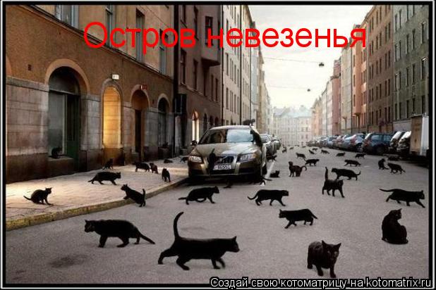 Остров невезенья... Котоматрица: Остров невезенья