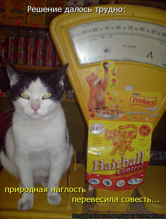 Решение далось трудно: природная наглость перевесила совесть...... Котоматрица: Решение далось трудно: природная наглость перевесила совесть...