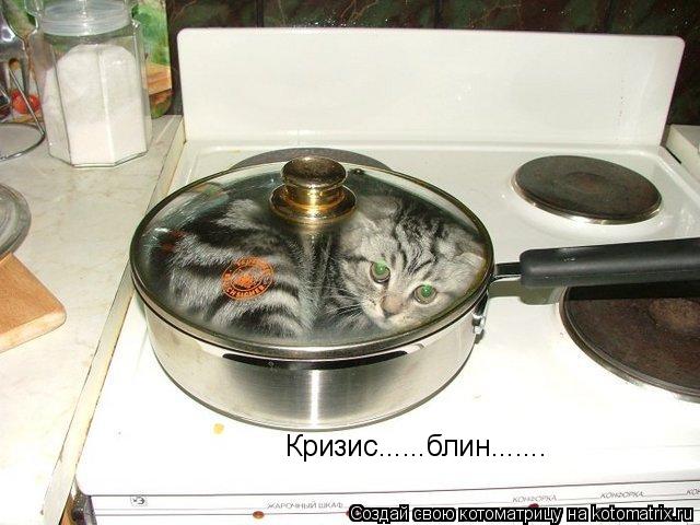 Кризис......блин.......... Котоматрица: Кризис......блин.......