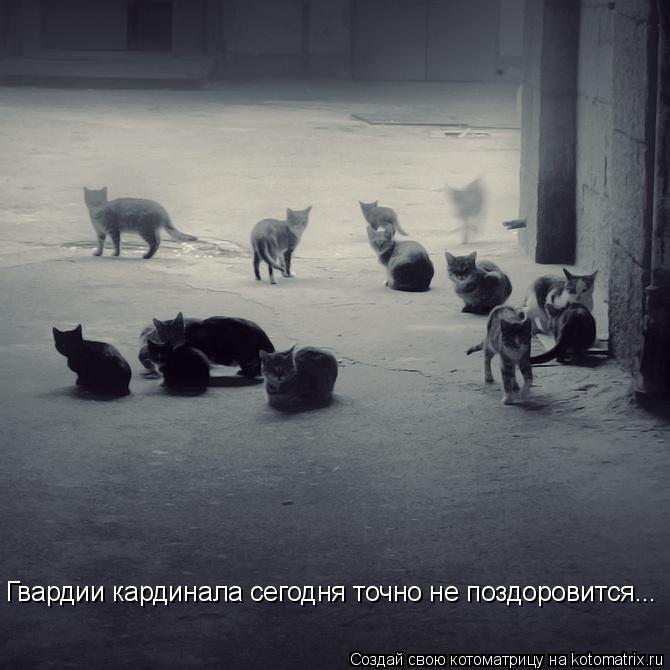Гвардии кардинала сегодня точно не поздоровится...... Котоматрица: Гвардии кардинала сегодня точно не поздоровится...