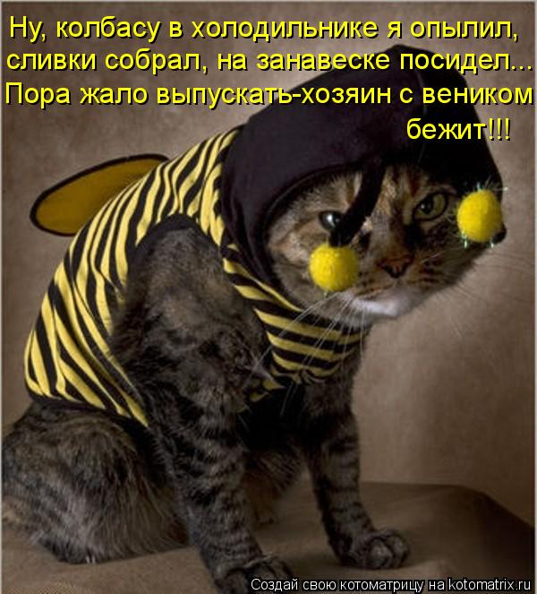 Ну, колбасу в холодильнике я опылил, сливки собрал, на занавеске посидел... Пора жало выпускать-хозя... Котоматрица: Ну, колбасу в холодильнике я опылил, сливки собрал, на занавеске посидел... Пора жало выпускать-хозяин с веником бежит!!!