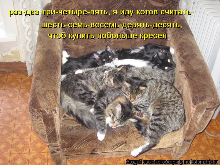раз-два-три-четыре-пять, я иду котов считать, шесть-семь-восемь-девять-десять, чтоб купить побольше к... Котоматрица: раз-два-три-четыре-пять, я иду котов считать, шесть-семь-восемь-девять-десять, чтоб купить побольше кресел