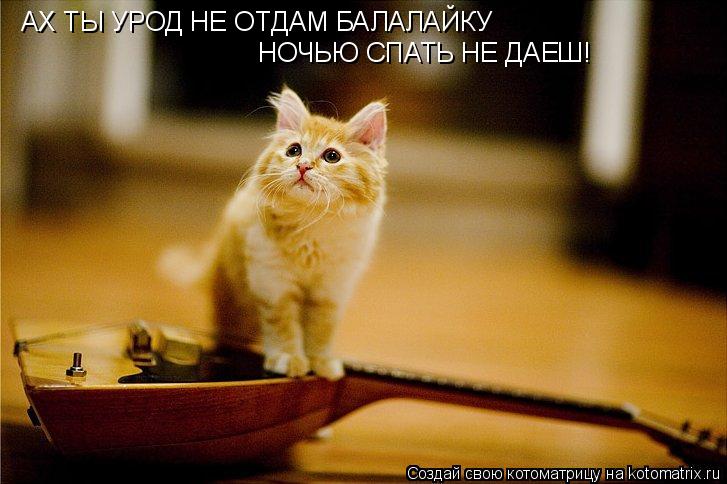 АХ ТЫ УРОД НЕ ОТДАМ БАЛАЛАЙКУ НОЧЬЮ СПАТЬ НЕ ДАЕШ!... Котоматрица: АХ ТЫ УРОД НЕ ОТДАМ БАЛАЛАЙКУ НОЧЬЮ СПАТЬ НЕ ДАЕШ!