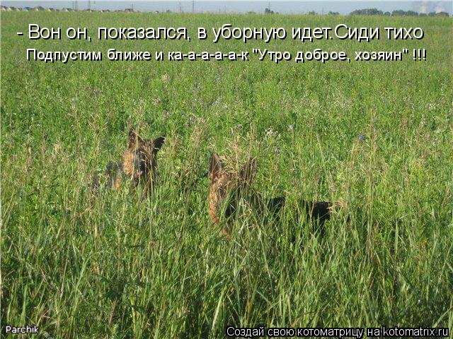 - Вон он, показался, в уборную идет.Сиди тихо Подпустим ближе и ка-а-а-а-а-к "Утро доброе, хозяин" !... Котоматрица: - Вон он, показался, в уборную идет.Сиди тихо Подпустим ближе и ка-а-а-а-а-к "Утро доброе, хозяин" !!!