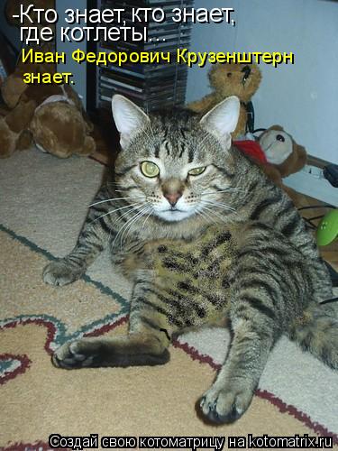 -Кто знает, кто знает, где котлеты... Иван Федорович Крузенштерн знает.... Котоматрица: -Кто знает, кто знает, где котлеты... Иван Федорович Крузенштерн знает.