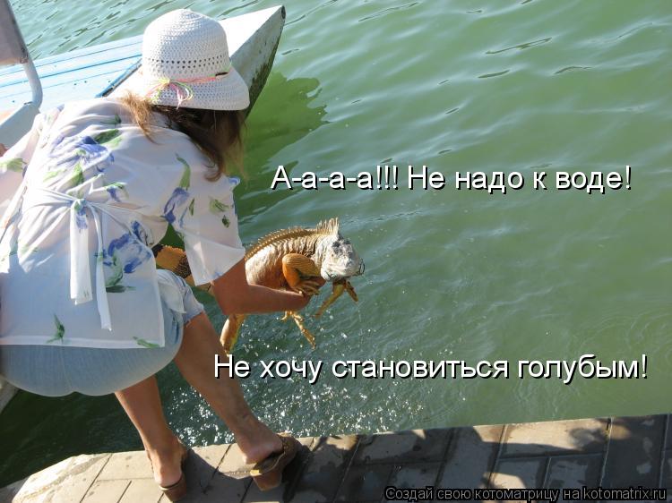 А-а-а-а!!! Не надо к воде! Не хочу становиться голубым!... Котоматрица: А-а-а-а!!! Не надо к воде! Не хочу становиться голубым!