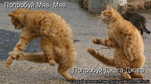 Попробуй Мяв- Мяв Попробуй Джага-Джага... Котоматрица: Попробуй Мяв- Мяв Попробуй Джага-Джага