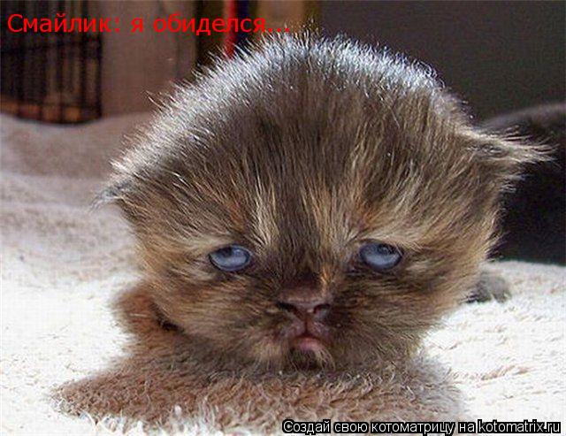 Смайлик: я обиделся...... Котоматрица: Смайлик: я обиделся...