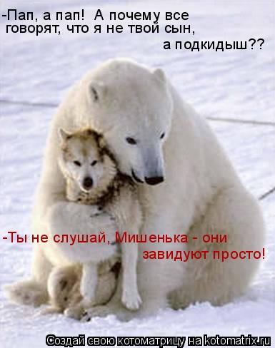 Котоматрица: -Пап, а пап!  А почему все   говорят, что я не твой сын,  а подкидыш?? -Ты не слушай, Мишенька - они завидуют просто!