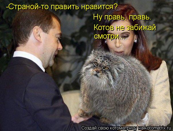 -Страной-то править нравится? Ну правь, правь. Котов не забижай смотри...... Котоматрица: -Страной-то править нравится? Ну правь, правь. Котов не забижай смотри...