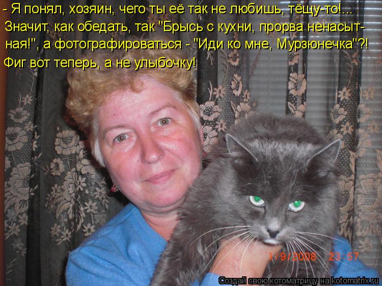 - Я понял, хозяин, чего ты её так не любишь, тёщу-то!... Значит, как обедать, так "Брысь с кухни, про... Котоматрица: - Я понял, хозяин, чего ты её так не любишь, тёщу-то!... Значит, как обедать, так "Брысь с кухни, прорва ненасыт- ная!", а фотографироваться - "Иди к