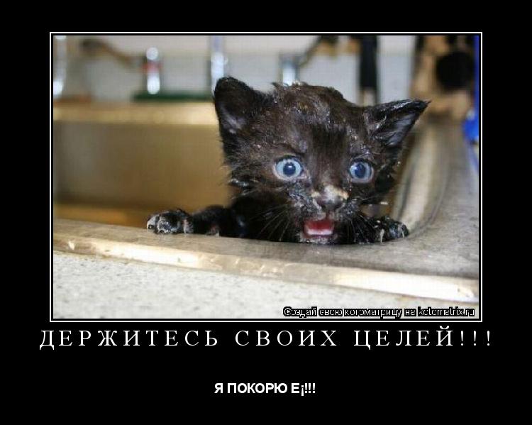 ДЕРЖИТЕСЬ СВОИХ ЦЕЛЕЙ!!! Я ПОКОРЮ ЕЁ!!!... Котоматрица: ДЕРЖИТЕСЬ СВОИХ ЦЕЛЕЙ!!! Я ПОКОРЮ ЕЁ!!!