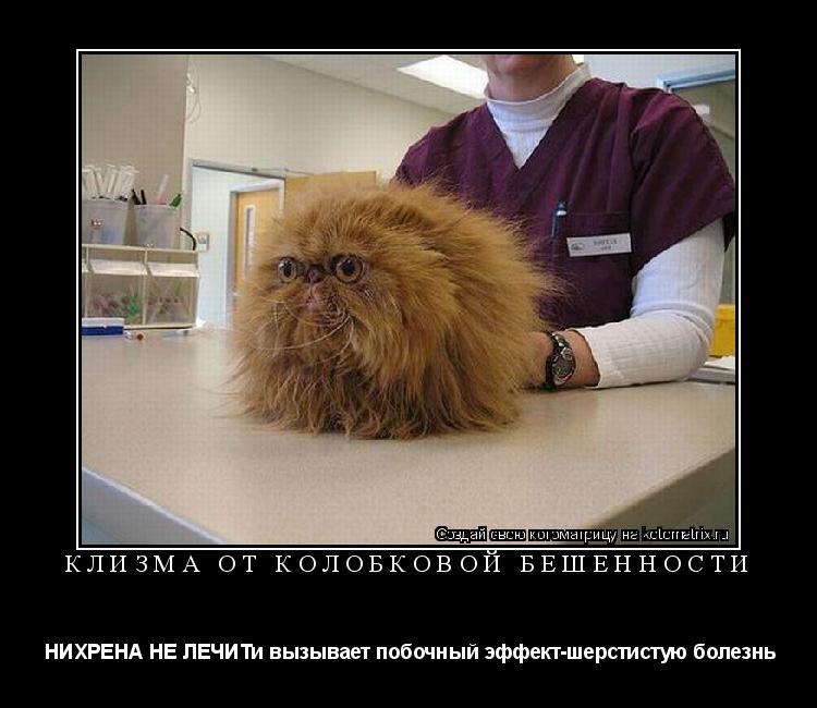 клизма от колобковой бешенности НИХРЕНА НЕ ЛЕЧИТи вызывает побочный эффект-шерстистую болезнь... Котоматрица: клизма от колобковой бешенности НИХРЕНА НЕ ЛЕЧИТи вызывает побочный эффект-шерстистую болезнь