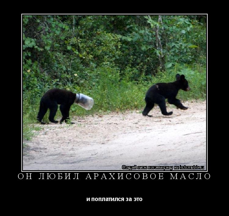 он любил арахисовое масло и поплатился за это... Котоматрица: он любил арахисовое масло и поплатился за это