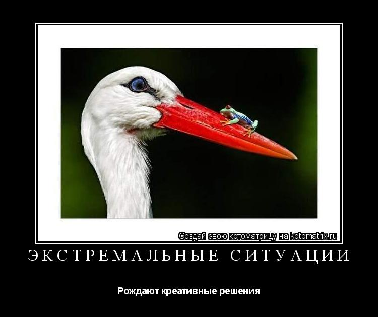 Экстремальные ситуации Рождают креативные решения... Котоматрица: Экстремальные ситуации Рождают креативные решения